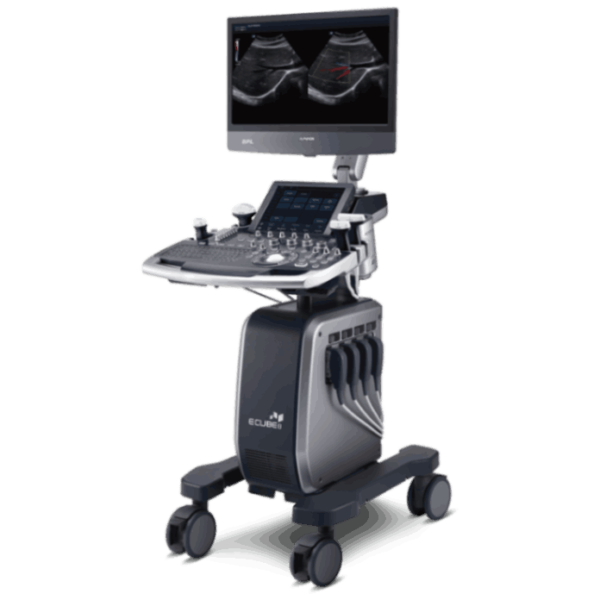 BPL E-Cube 8 Diamond Ultrasound Machine for Hospital Diagnostics